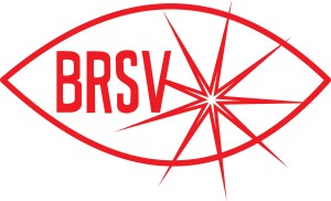 Belgische Rett Syndroom Vereniging v.z.w logo